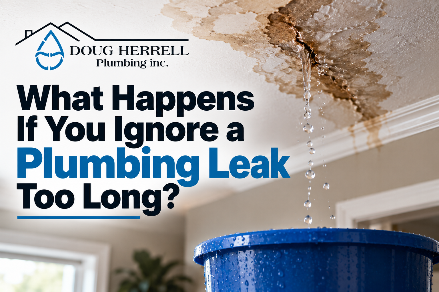 What Happens If You Ignore a Plumbing Leak Too Long - Roof Leaking Into Bucket
